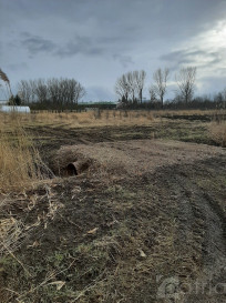 Działka Sprzedaż Pyrzyce