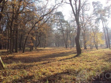 Działka Sprzedaż Rzędziny