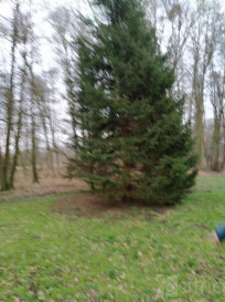 Działka Sprzedaż Rzędziny