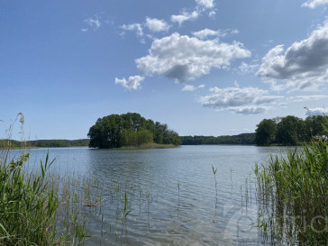 Działka Sprzedaż Przybiernów