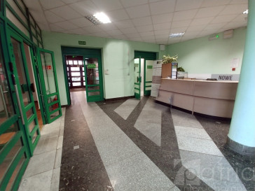 Lokal Wynajem Szczecin Centrum