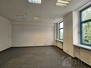 Lokal Wynajem Szczecin Centrum
