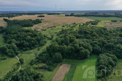 Działka Sprzedaż Prusinowo