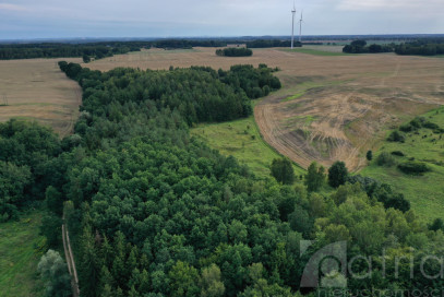 Działka Sprzedaż Prusinowo