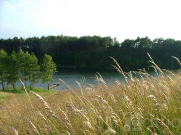 Działka Sprzedaż Żabin