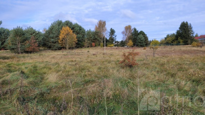 Działka Sprzedaż Warnowo