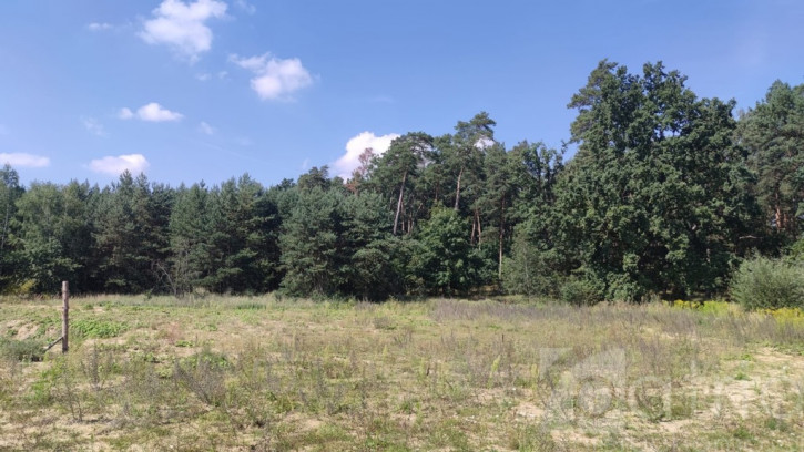 Działka Sprzedaż Kościno 1
