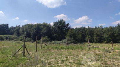 Działka Sprzedaż Kościno