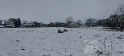Działka Sprzedaż Budzieszowce