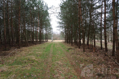 Działka Sprzedaż Krzywice