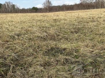 Działka Sprzedaż Storkowo