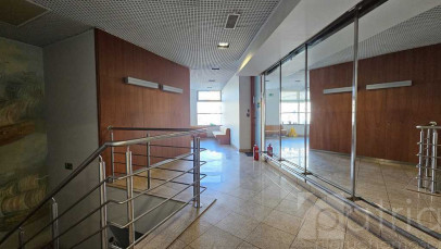 Lokal Wynajem Szczecin Centrum