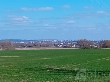 Działka Sprzedaż Karwowo