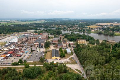 Obiekt Sprzedaż Osinów Dolny