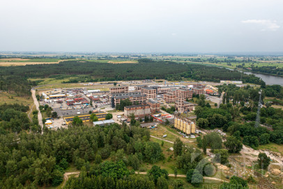 Obiekt Sprzedaż Osinów Dolny