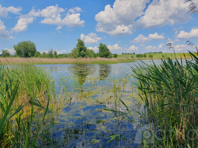 Działka Sprzedaż Zieleniewo 1