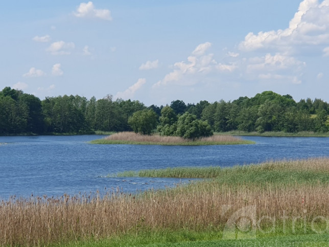 Działka Sprzedaż Zieleniewo 1