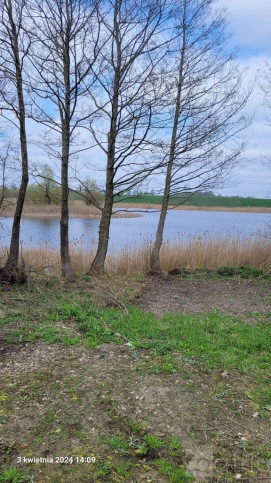 Działka Sprzedaż Zieleniewo 1
