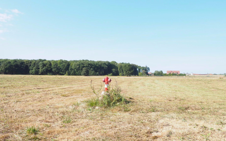Działka Sprzedaż Śliwin 1