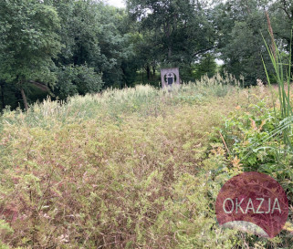 Działka Sprzedaż Gozdowice