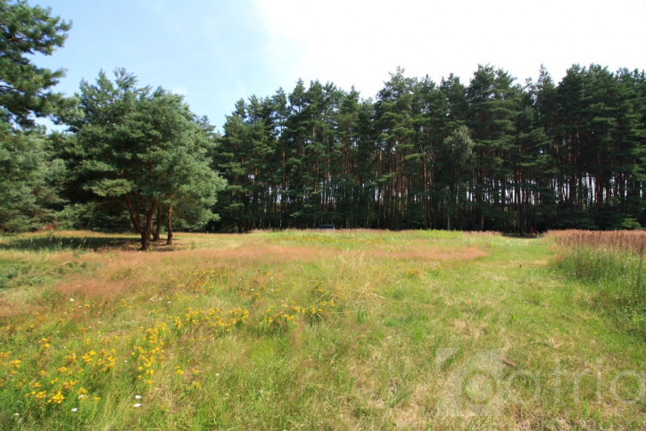 Działka Sprzedaż Szczecin Wielgowo Żywiczna 1